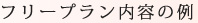 フリープラン内容の例